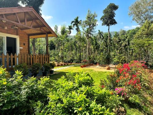 oxyzone coorg by stayapart