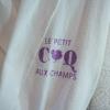 le petit coq aux champs