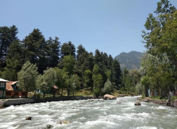 paradise guest house