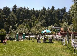 paradise guest house