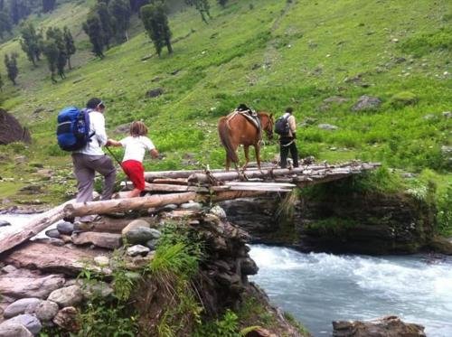 paradise guest house