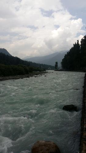 paradise guest house