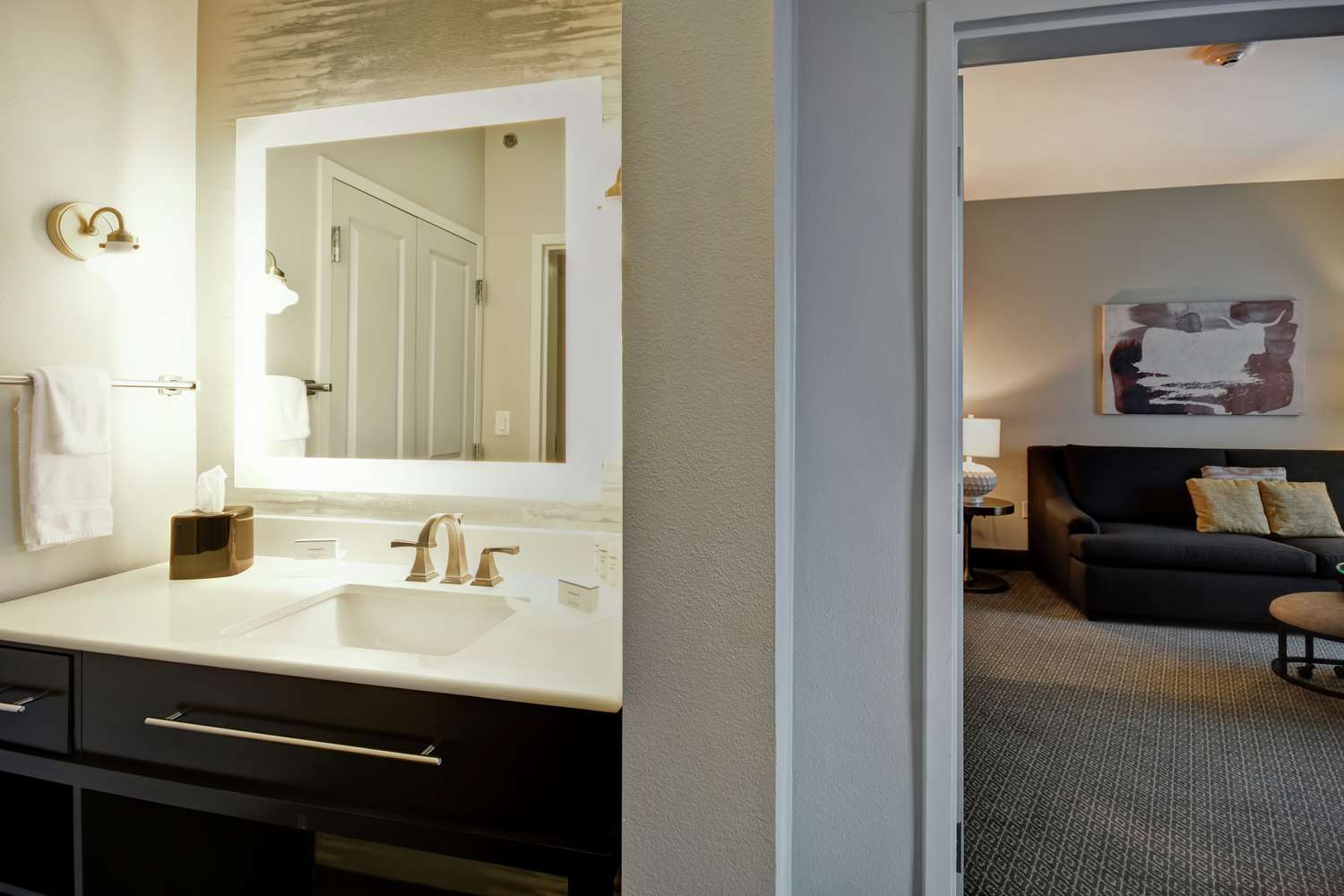 homewood suites by hilton dallas arlington south