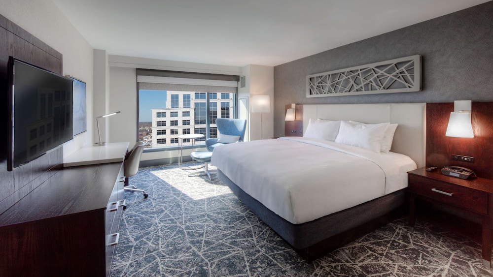 hilton norfolk the main