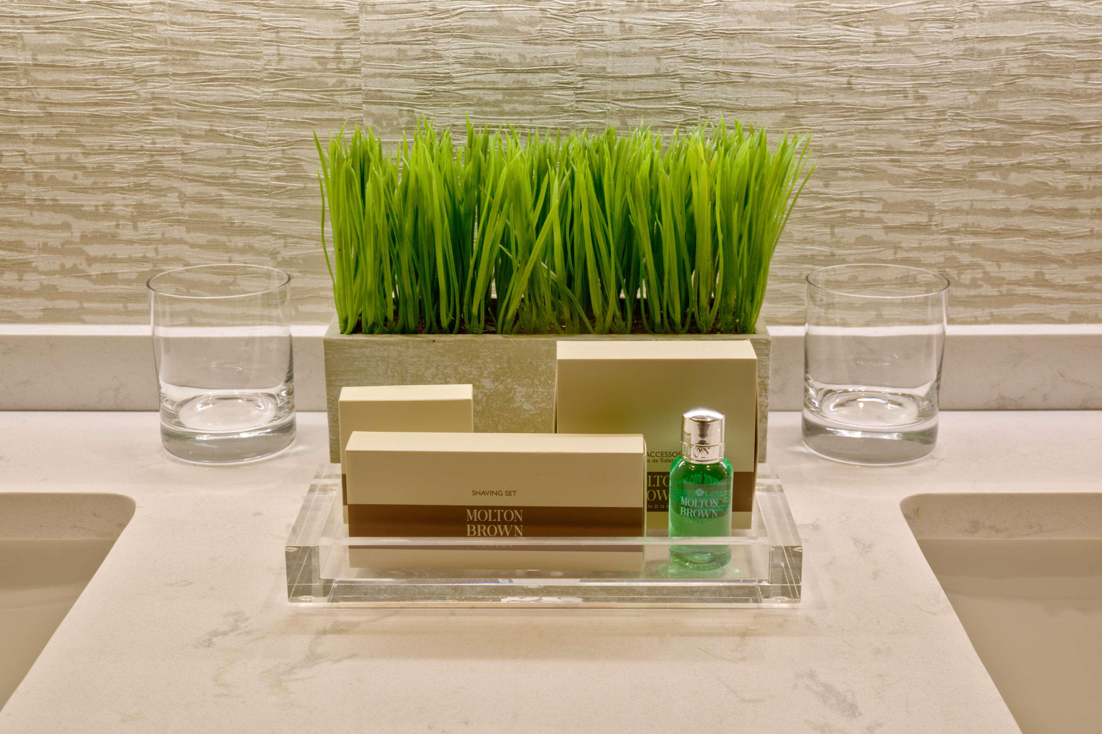 hilton norfolk the main