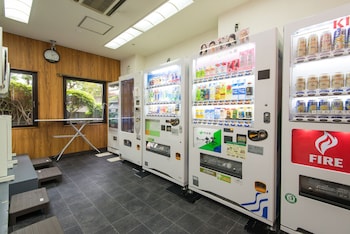 the hedistar hotel narita