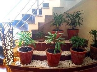 hotel kanchan recreation