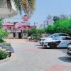 pine tree hotel