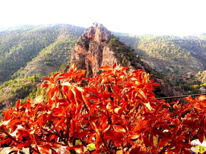 miralmundo alojamientos rurales ayna hostal rural