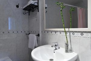 miralmundo alojamientos rurales ayna hostal rural