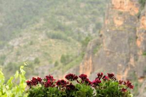 miralmundo alojamientos rurales ayna hostal rural