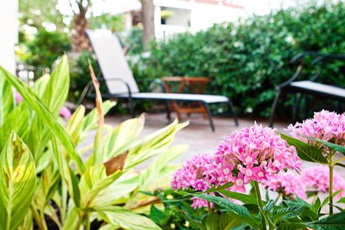 Desoto Beach Gardens,Near Tybee Island Memorial Park,3 star