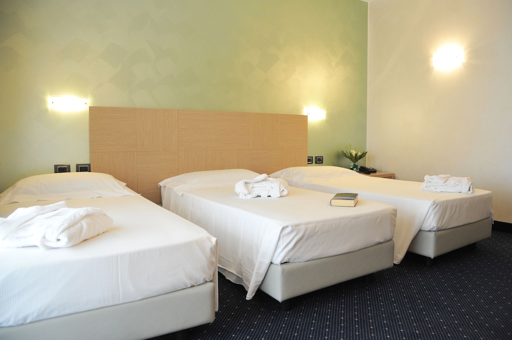 palace hotel zingonia