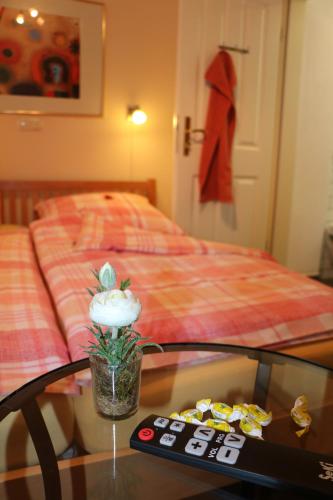 darz gastezimmer hamburg wandsbek eilbek