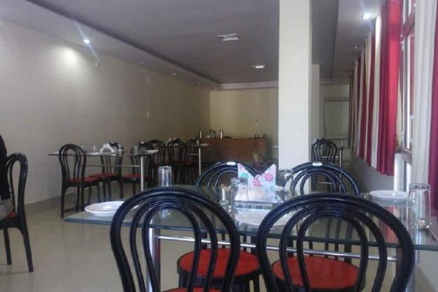 hotel aryan international