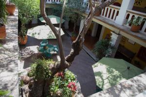 parador del dominico