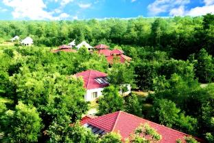 tuli veer bagh resort