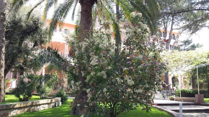 martina franca