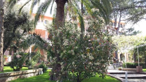 martina franca