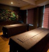 park hotel tokyo