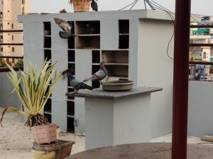 gangavaram residency