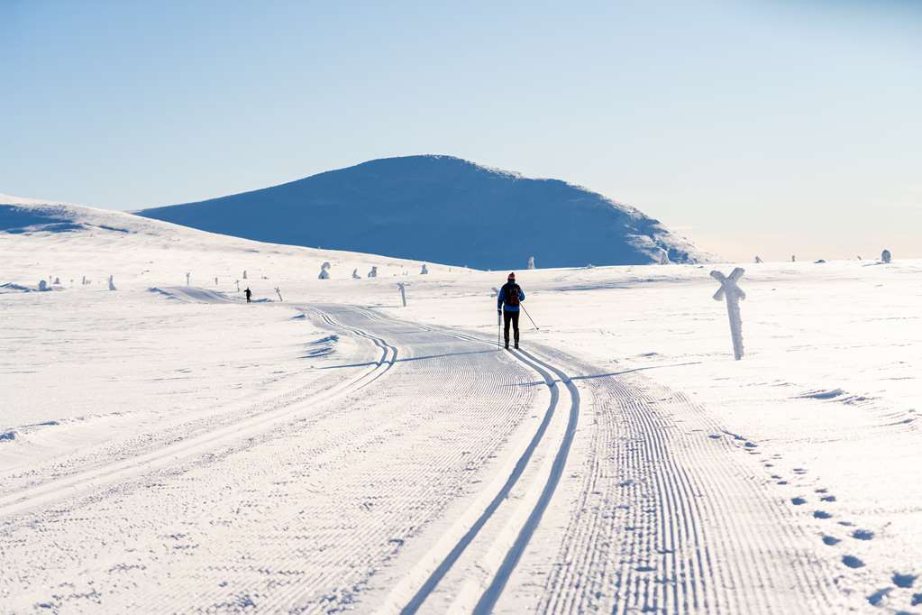 trysil