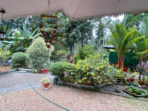 kuttickattil gardens home stay