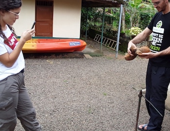 kuttickattil gardens home stay