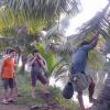 kuttickattil gardens home stay