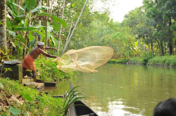 kuttickattil gardens home stay