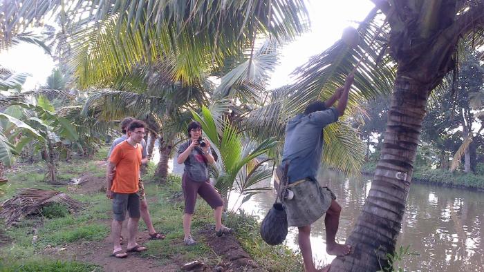 kuttickattil gardens home stay