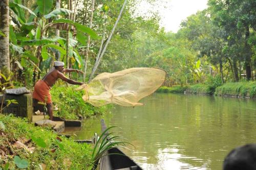 kuttickattil gardens home stay