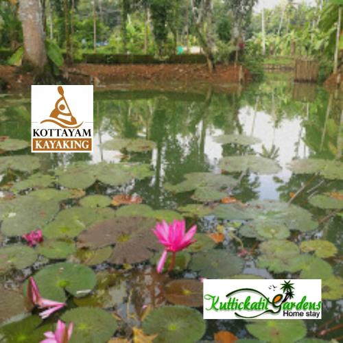 kuttickattil gardens home stay