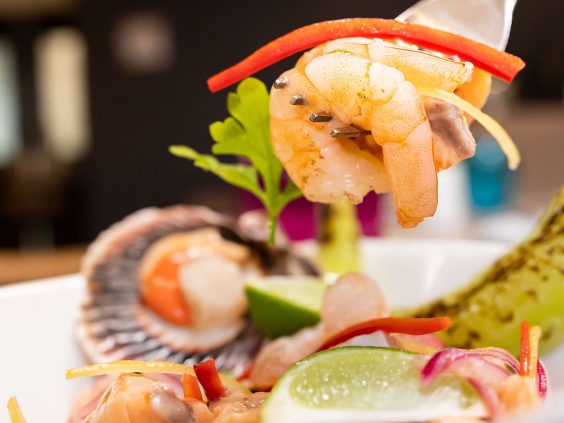 mercure concepcion ex atton