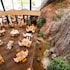 marriott phoenix resort tempe at the buttes