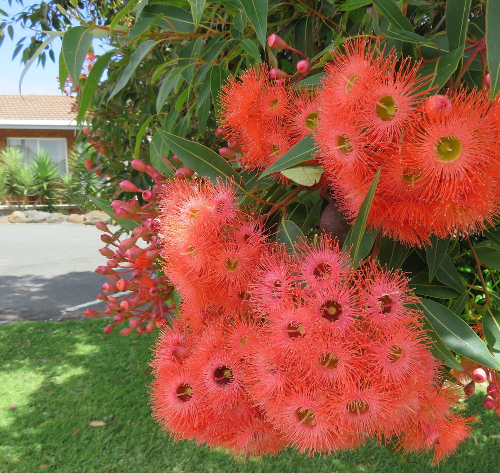 port campbell motor inn