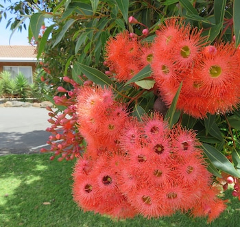 port campbell motor inn
