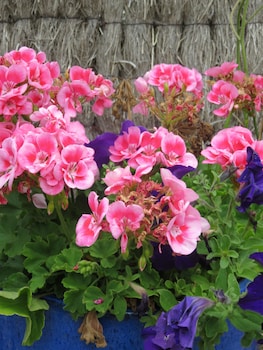 port campbell motor inn