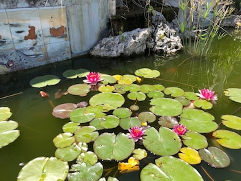 Residence Villa Patrizia,Mostacciano>>Lazio,3 star