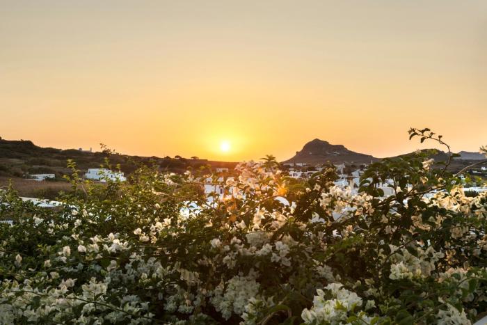 white tinos luxury suites