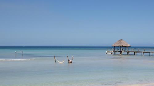 punta rucia