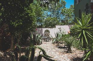 san miguel de allende