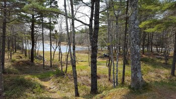 roseway river cottages