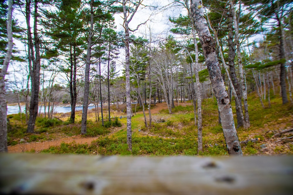 roseway river cottages