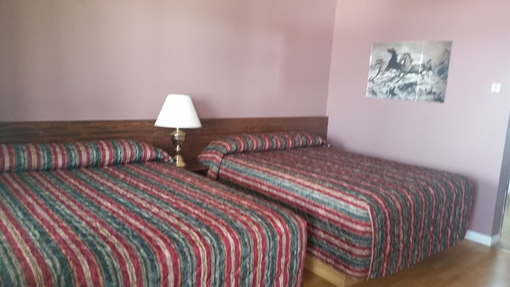 lamplighter viking motel