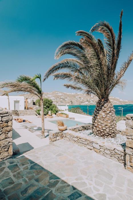 aelia mykonos