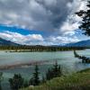 jasper