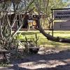 tshima bush camp