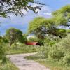 tshima bush camp