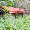 tshima bush camp